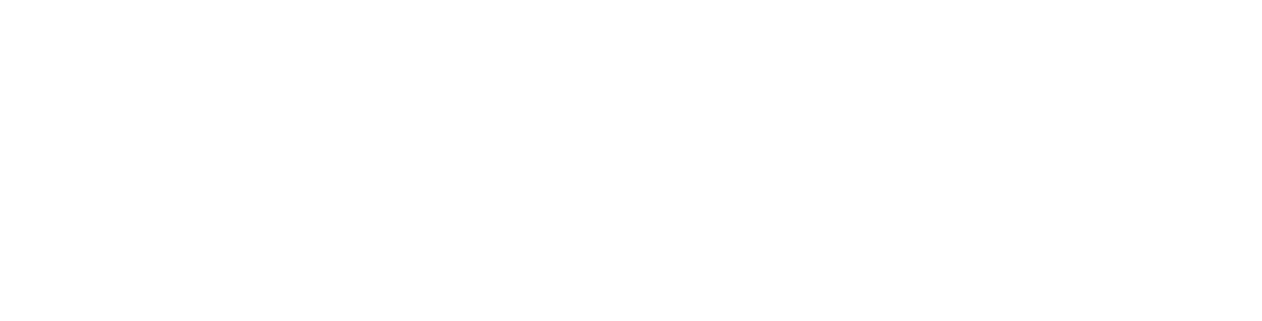 logo footer  290126 scaled